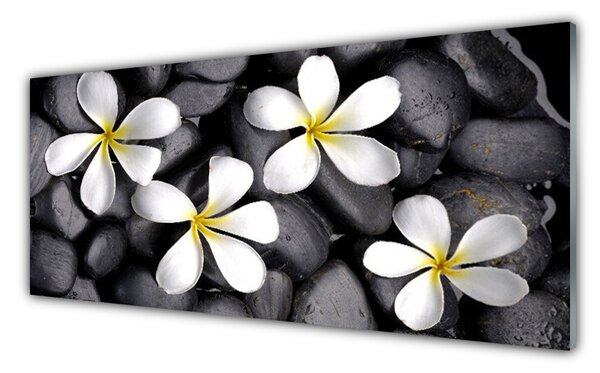 Panou sticla bucatarie Flori Floral alb