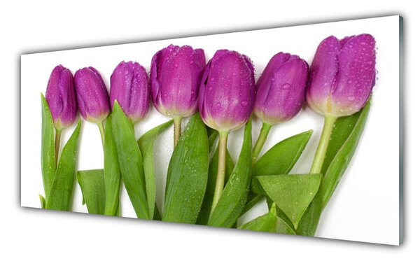 Panou sticla bucatarie Lalele Floral Roșu Verde