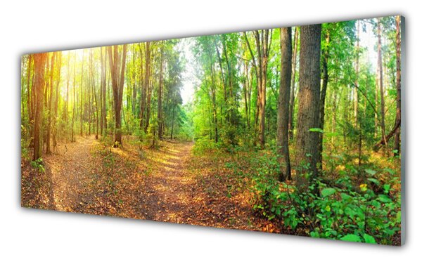 Tablouri acrilice Natural Pădurea Verde Maro