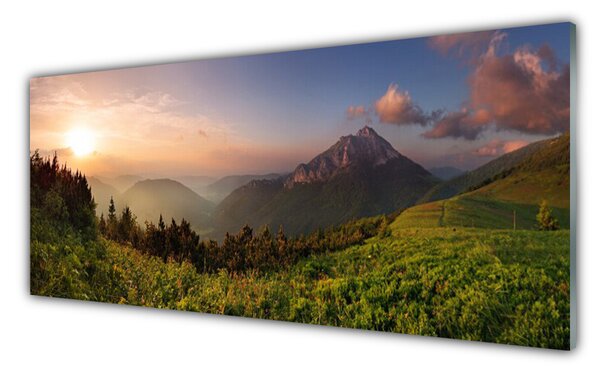 Panou sticla bucatarie Mountain Natural Pădurea Verde Gri