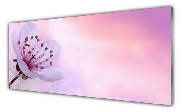 Tablou pe sticla Florale flori roz