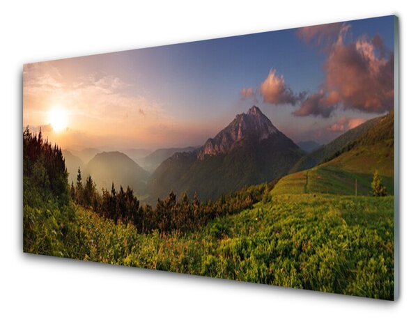 Panou sticla bucatarie Mountain Natural Pădurea Verde Gri