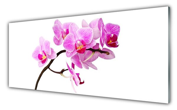 Panou sticla bucatarie Flori Floral Roz Maro