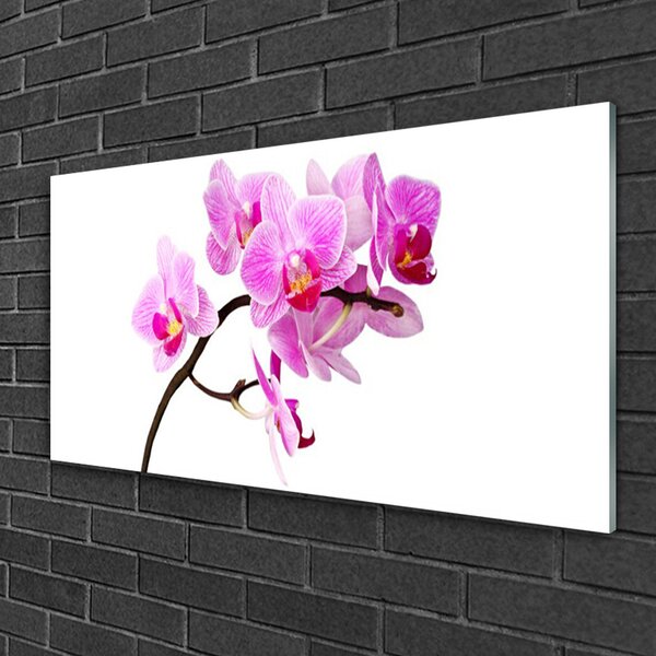 Tablou pe sticla Flori Floral Roz Maro