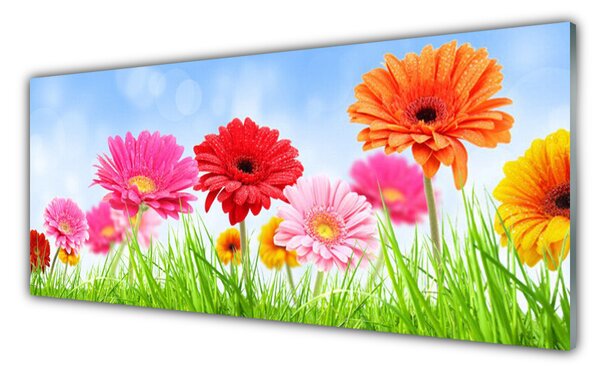 Tablouri acrilice Flori Iarbă Floral Multi