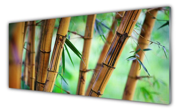 Tablou pe sticla Bamboo Natura Galben