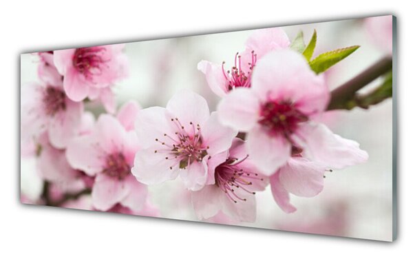 Tablou pe sticla Flori roz Floral