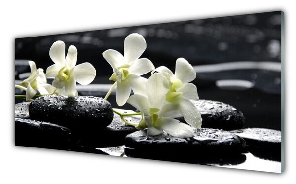 Panou sticla bucatarie Pietre florale flori alb negru