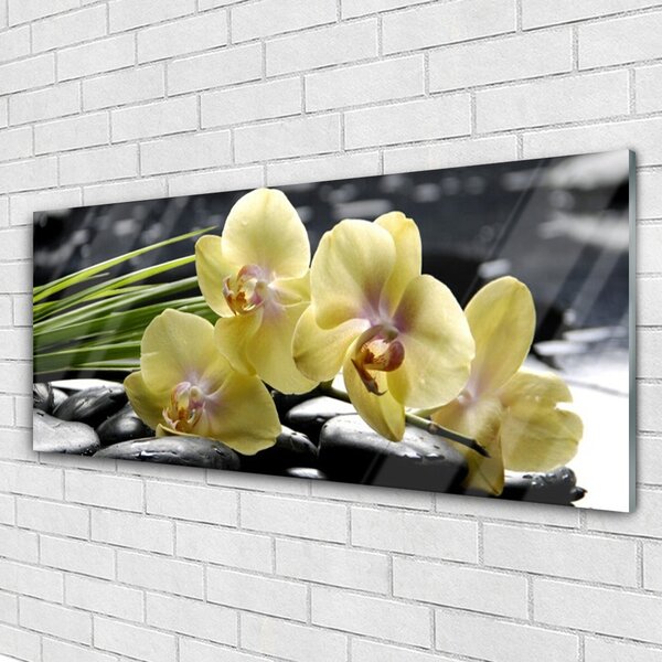 Tablou pe sticla Flori Floral Galben