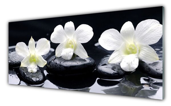 Panou sticla bucatarie Pietre florale flori alb negru
