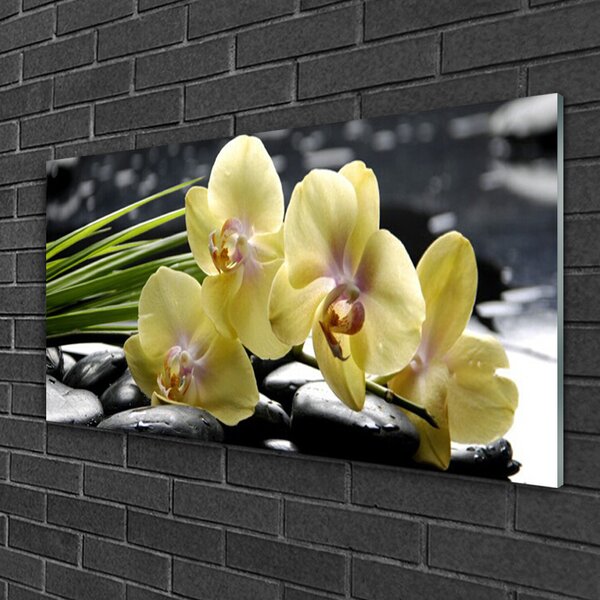 Tablou pe sticla Flori Floral Galben