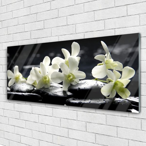 Tablou pe sticla Pietre florale flori alb negru