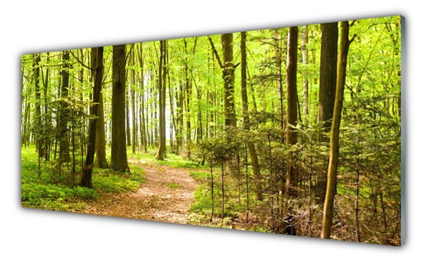 Tablou pe sticla Natural Pădurea Verde Maro