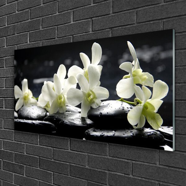 Tablou pe sticla Pietre florale flori alb negru