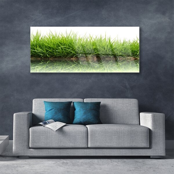 Tablou pe sticla Weed Natura verde