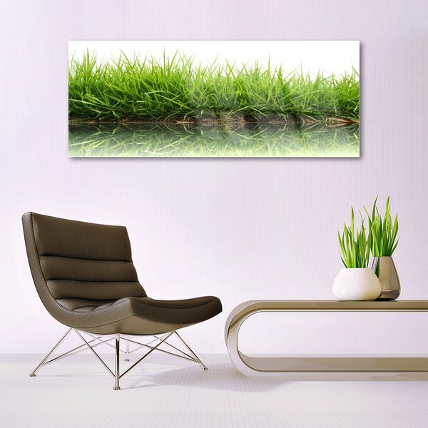 Tablou pe sticla Weed Natura verde