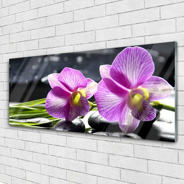 Tablou pe sticla Flori roz Floral