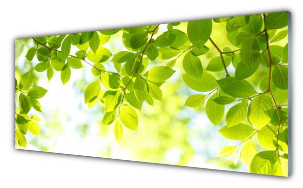 Tablou pe sticla Frunze Natura verde