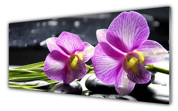 Panou sticla bucatarie Flori roz Floral