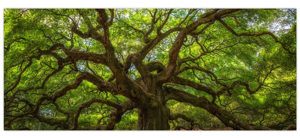 Tablou - Copac verde (120x50 cm)