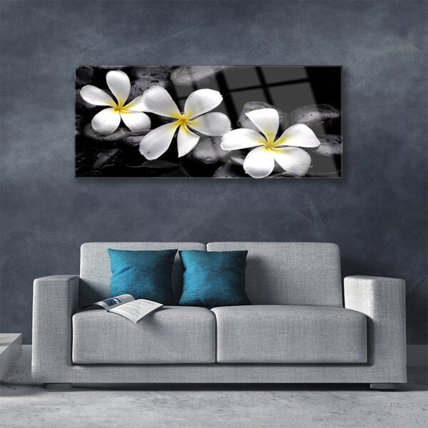 Tablou pe sticla Pietre florale flori alb negru
