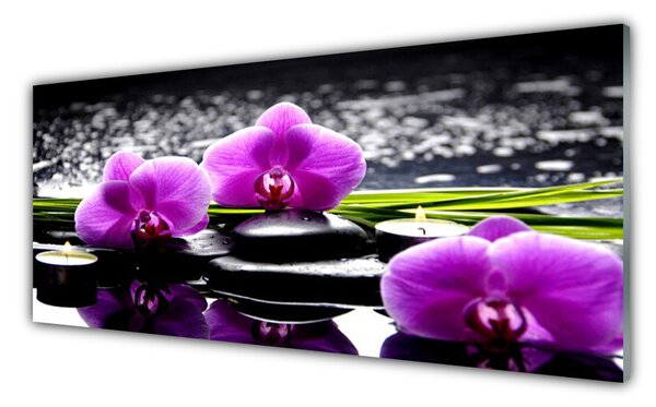 Panou sticla bucatarie Pietrele florale flori roz negru