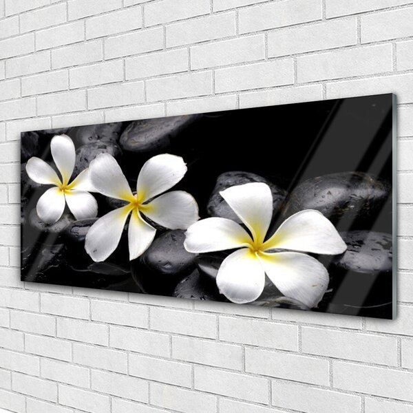 Tablou pe sticla Pietre florale flori alb negru