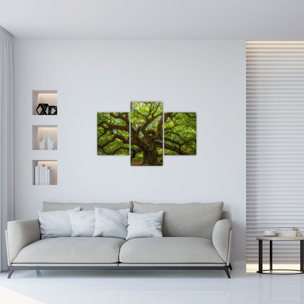 Tablou - Copac verde (90x60 cm)