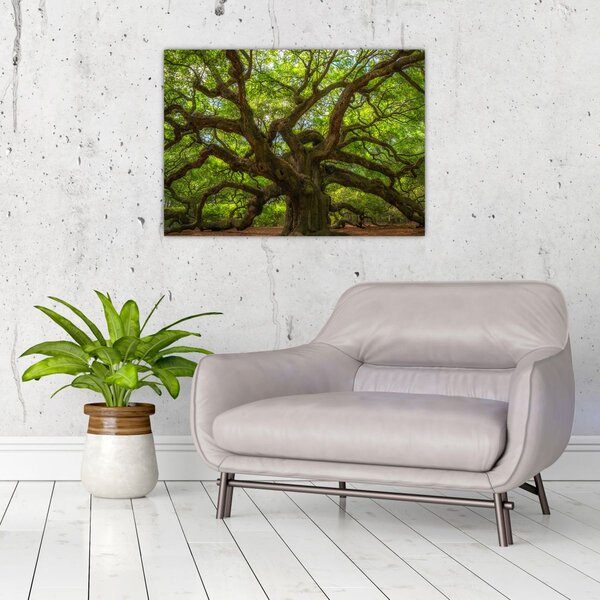 Tablou - Copac verde (70x50 cm)