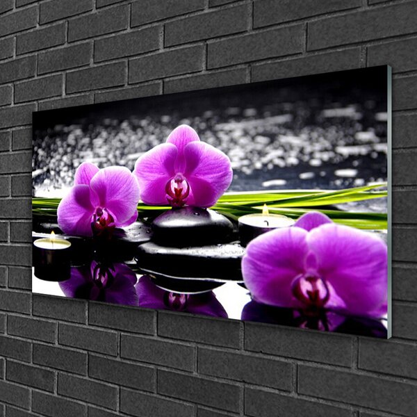 Tablou pe sticla Pietrele florale flori roz negru