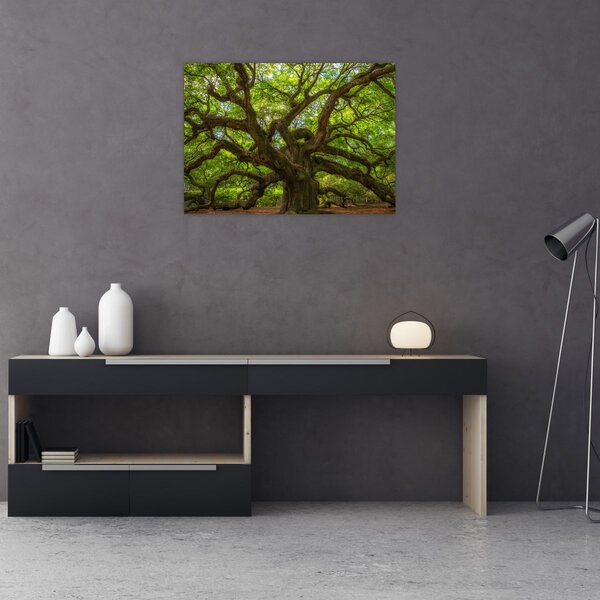 Tablou - Copac verde (70x50 cm)
