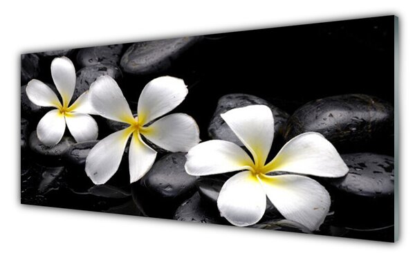 Tablou pe sticla Pietre florale flori alb negru