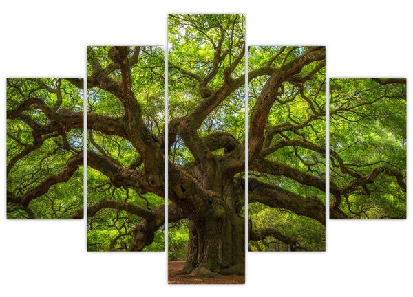 Tablou - Copac verde (150x105 cm)