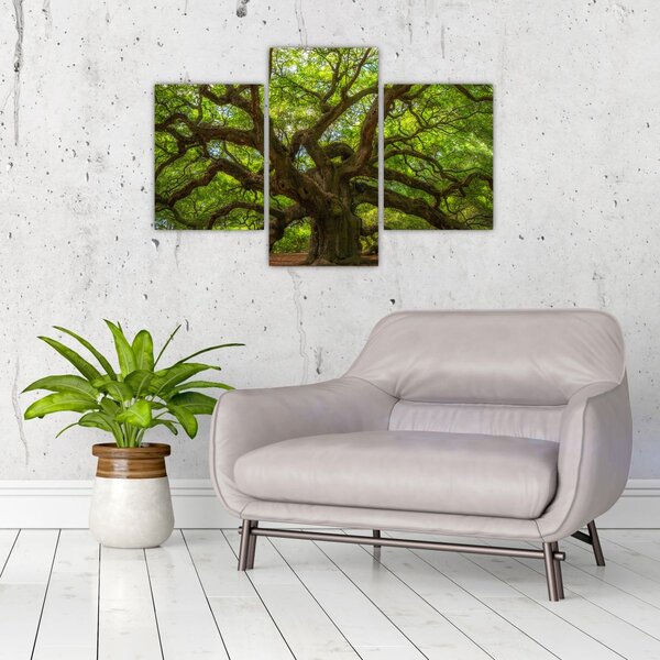 Tablou - Copac verde (90x60 cm)