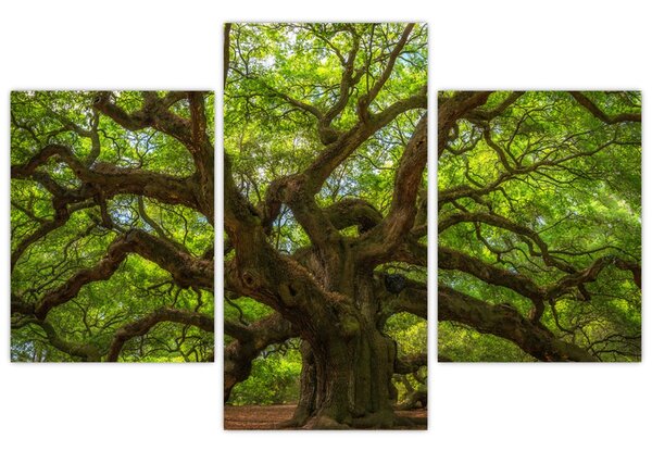 Tablou - Copac verde (90x60 cm)