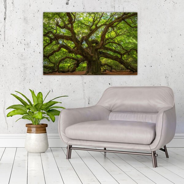 Tablou - Copac verde (90x60 cm)