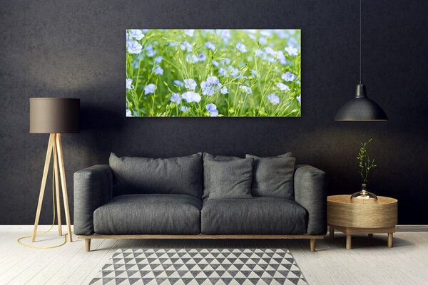 Tablou pe sticla Flori Iarbă Natura Verde Violet