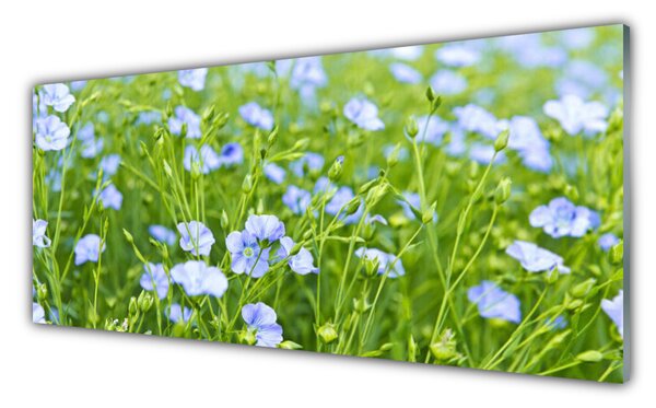Panou sticla bucatarie Flori Iarbă Natura Verde Violet