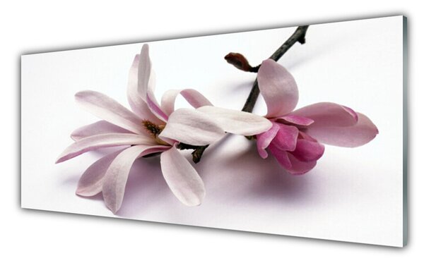Tablou pe sticla Flori Floral alb