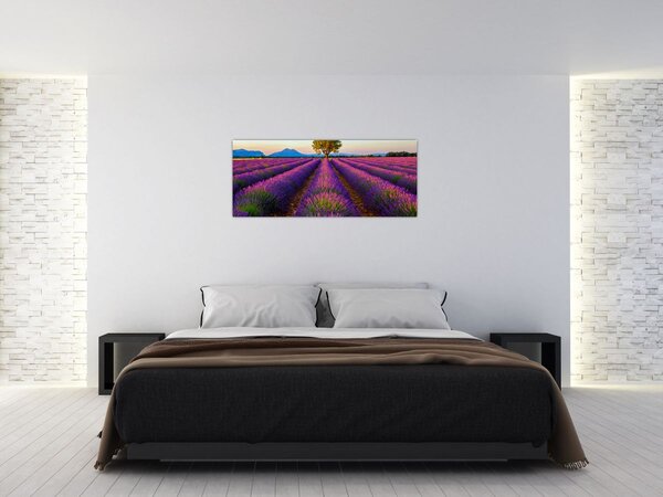 Tablou - Câmp de lavandă (120x50 cm)