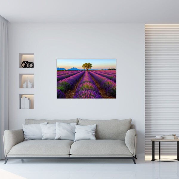 Tablou - Câmp de lavandă (90x60 cm)
