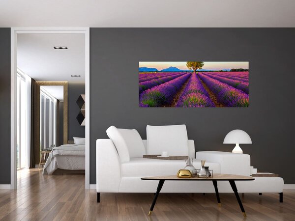 Tablou - Câmp de lavandă (120x50 cm)