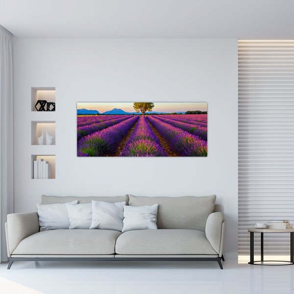 Tablou - Câmp de lavandă (120x50 cm)