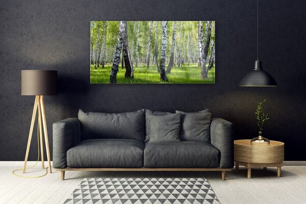 Tablouri acrilice Natural Pădurea Neagră Alb Verde