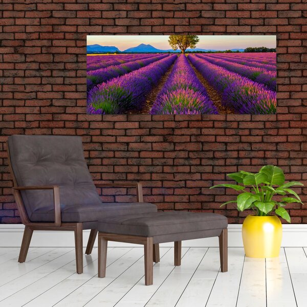 Tablou - Câmp de lavandă (120x50 cm)