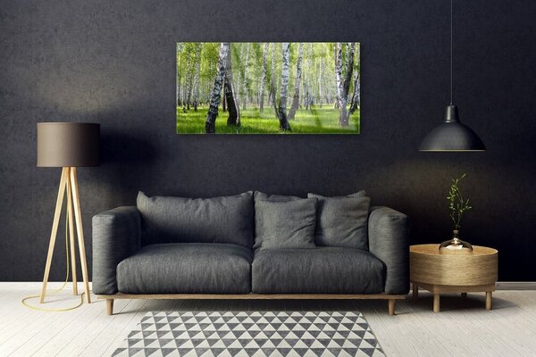 Tablouri acrilice Natural Pădurea Neagră Alb Verde