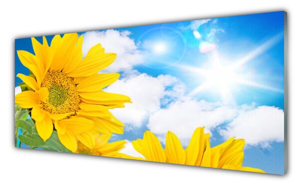 Panou sticla bucatarie Flori Floral Galben