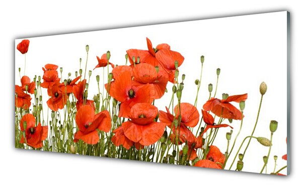 Panou sticla bucatarie Maci Floral Red