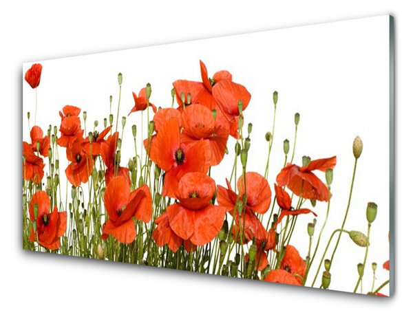 Panou sticla bucatarie Maci Floral Red
