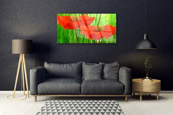 Tablou pe sticla Maci Floral Roșu Verde